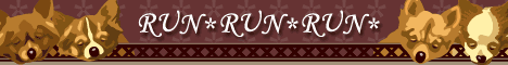 RUN*RUN*RUNl